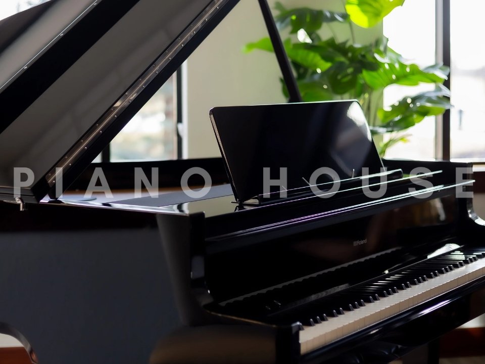 ROLAND GP-9M PE - Ảnh thực tế 3